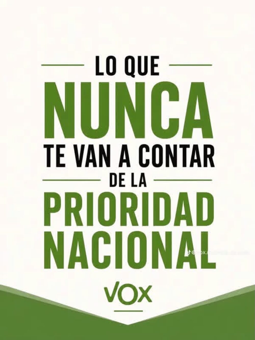 Prioridad nacional VOX - portada